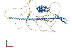AlphaFold protein structure predicition of Mouse Recombinant Hgs Protein, UniprotID Q99LI8