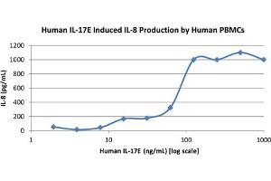 SDS-PAGE of Human Interleukin-17E (IL-25) Recombinant Protein Bioactivity of Human Interleukin-17E (IL-25) Recombinant Protein. (IL-25 Protein)