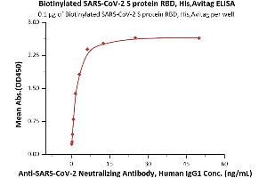 Immobilized Biotinylated SARS-CoV-2 S protein RBD, His,Avitag (ABIN6952456,ABIN6952463) at 1 μg/mL (100 μL/well) on streptavidin precoated (0.