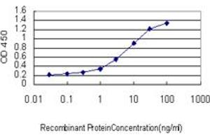 Detection limit for recombinant GST tagged FOXO1A is approximately 0. (FOXO1 antibody  (AA 556-655))