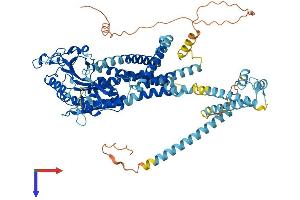 PKD2L1 Protein (AA 1-760) (His tag)