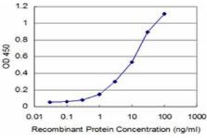 Detection limit for recombinant GST tagged PHF1 is approximately 1ng/ml as a capture antibody. (PHF1 antibody  (AA 2-100))