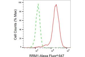 Flow cytometric analysis of RRM1 expression in HepG2 cells using RRM1 antibody (ABIN7800212), 1:2,000).