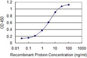 Detection limit for recombinant GST tagged HEXIM1 is 0. (HEXIM1 antibody  (AA 1-359))