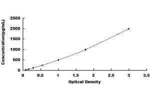 Typical standard curve (Stanniocalcin 2 ELISA Kit)