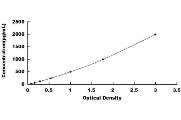 Stanniocalcin 2 ELISA Kit