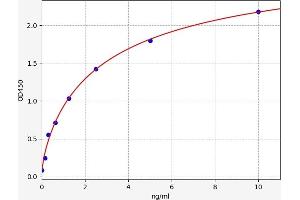 Typical standard curve (BAD ELISA Kit)