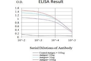 Black line: Control Antigen (100 ng),Purple line: Antigen (10 ng), Blue line: Antigen (50 ng), Red line:Antigen (100 ng) (LY75/DEC-205 antibody)