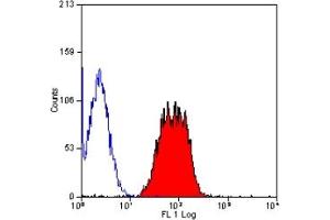 Staining of mouse peripheral blood lymphocytes with HAMSTER ANTI MOUSE CD29:FITC (ABIN120156). (ITGB1 antibody  (FITC))