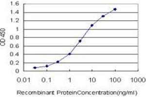 Detection limit for recombinant GST tagged ZNF124 is approximately 0. (ZNF124 antibody  (AA 121-229))