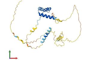 AlphaFold protein structure predicition of Human Recombinant DRGX Protein, UniprotID A6NNA5