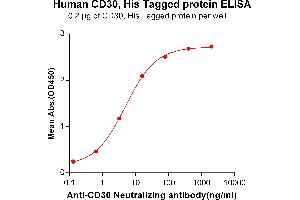 ELISA plate pre-coated by 2 μg/mL (100 μL/well) Human CD30, His tagged protein (ABIN6961166) can bind Anti-CD30 Neutralizing antibody in a linear range of 0. (TNFRSF8 Protein (His tag))