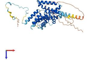Chromosome 8 Open Reading Frame 76 (C8orf76) (AA 1-380) protein (His tag)