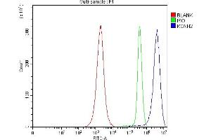 Flow Cytometry analysis of JK cells using anti-H-ERG/KCNH2 antibody (ABIN7599835).