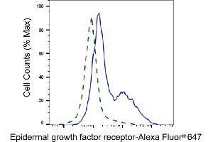 Validation of Epidermal growth factor receptor knockdown using flow cytometry. (EGFR antibody)