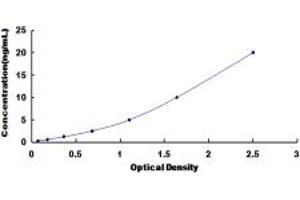 Typical standard curve (CasLTR2 ELISA Kit)