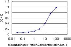 Detection limit for recombinant GST tagged ZIC1 is approximately 0. (ZIC1 antibody  (AA 2-95))