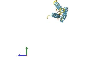 AlphaFold protein structure predicition of Human Recombinant TMEM243 Protein, UniprotID Q9BU79 (TMEM243 Protein (AA 1-118) (His tag))