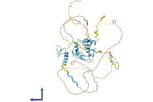 Protein Structure (PS) image for Insulinoma-Associated 1 (INSM1) (AA 1-521) protein (His tag) (ABIN7563973)
