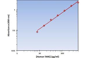 Chemokine (C-C Motif) Ligand 17 (CCL17) ELISA Kit