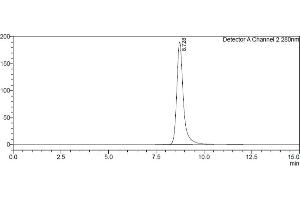 Assessment of protein purity for human Fc gamma RIIa / CD32a (167H) protein by SEC-HPLC.