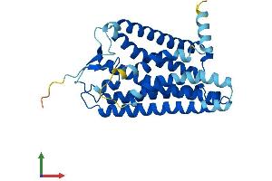 AlphaFold protein structure predicition of Human Recombinant OR5H14 Protein, UniprotID A6NHG9 (OR5H14 Protein (AA 1-310) (His tag))