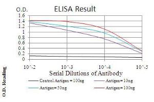 Black line: Control Antigen (100 ng), Purple line: Antigen(10 ng), Blue line: Antigen (50 ng), Red line: Antigen (100 ng), (WTAP antibody  (AA 91-201))