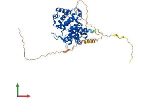 AlphaFold protein structure predicition of Human Recombinant CCNE1 Protein, UniprotID P24864 (Cyclin E1 Protein (CCNE1) (AA 1-410) (His tag))