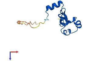 Protein Structure (PS) image for Thiosulfate Sulfurtransferase (Rhodanese)-Like Domain Containing 3 (TSTD3) (AA 1-97) protein (His tag) (ABIN7544834)