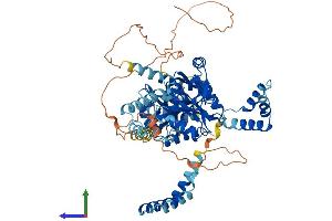 AlphaFold protein structure predicition of Human Recombinant PALS1 Protein, UniprotID Q8N3R9 (MPP5 Protein (AA 1-675) (His tag))