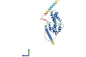 AlphaFold protein structure predicition of Human Recombinant MAGEB18 Protein, UniprotID Q96M61 (MAGEB18 Protein (AA 1-343) (His tag))