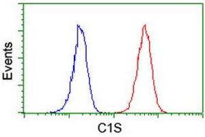 Image no. 6 for anti-Complement Component 1, S Subcomponent (C1S) antibody (ABIN1497565) (C1S antibody)