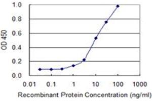 Detection limit for recombinant GST tagged HOXD4 is 0. (HOXD4 antibody  (AA 1-62))