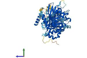 Protein Structure (PS) image for Protein tyrosine Phosphatase, Non-Receptor Type 9 (PTPN9) (AA 1-593) protein (His tag) (ABIN7551073)