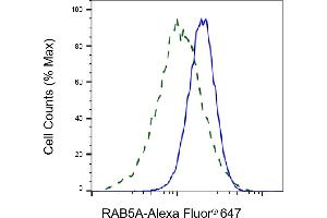 Validation of RAB5A knockdown using flow cytometry. (Recombinant RAB5 antibody)