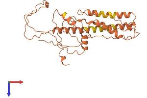 AlphaFold protein structure predicition of Human Recombinant FAM87A Protein, UniprotID P0C7U9 (FAM87A Protein (AA 1-286) (His tag))