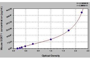 Typical standard curve (Sortilin 1 ELISA Kit)