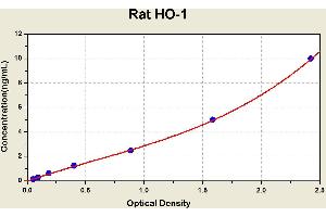 Diagramm of the ELISA kit to detect Rat HO-1with the optical density on the x-axis and the concentration on the y-axis. (HMOX1 ELISA Kit)
