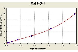 Diagramm of the ELISA kit to detect Rat HO-1with the optical density on the x-axis and the concentration on the y-axis.