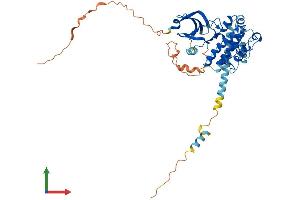 Protein Structure (PS) image for MAP Kinase Interacting serine/threonine Kinase 1 (MKNK1) (AA 1-427) protein (His tag) (ABIN7562178)