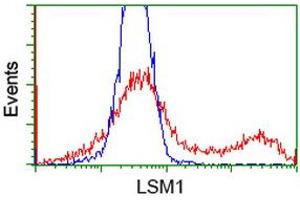HEK293T cells transfected with either RC200288 overexpress plasmid (Red) or empty vector control plasmid (Blue) were immunostained by anti-LSM1 antibody (ABIN2454739), and then analyzed by flow cytometry. (LSM1 antibody  (AA 1-133))