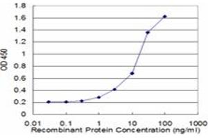 Detection limit for recombinant GST tagged HIP1 is approximately 1ng/ml as a capture antibody. (HIP1 antibody  (AA 928-1037))
