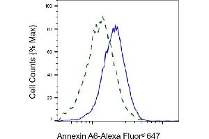 Flow cytometric analysis of Annexin A6 expression in HepG2 cells using Annexin A6 antibody (ABIN7797623), 1:2,000). (Recombinant ANXA6 antibody)
