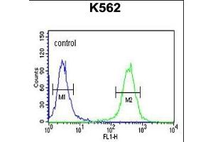 C3orf75 Antibody (C-term) (ABIN651356 and ABIN2840198) flow cytometric analysis of K562 cells (right histogram) compared to a negative control cell (left histogram). (ELP6 antibody  (C-Term))