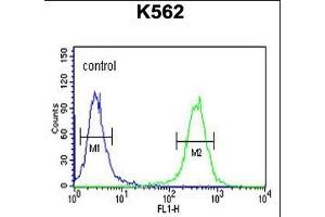 C3orf75 Antibody (C-term) (ABIN651356 and ABIN2840198) flow cytometric analysis of K562 cells (right histogram) compared to a negative control cell (left histogram). (ELP6 antibody  (C-Term))
