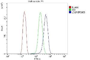 Flow Cytometry analysis of A431 cells using anti-LDLR antibody (ABIN7601438). (LDLR antibody  (AA 35-843))