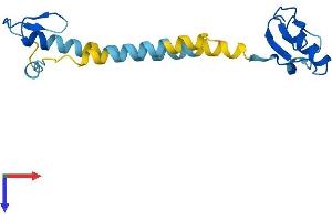 AlphaFold protein structure predicition of Mouse Recombinant Spink10 Protein, UniprotID Q8CAC8 (Spink10 Protein (AA 1-162) (His tag))