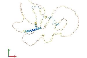 Protein Structure (PS) image for Hyaluronan Binding Protein 4 (HABP4) (AA 1-413) protein (His tag) (ABIN7548198)