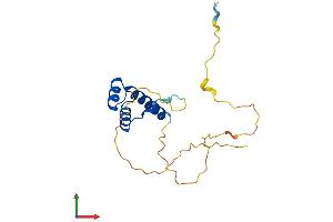 Protein Structure (PS) image for Distal-Less Homeobox 6 (DLX6) (AA 1-175) protein (His tag) (ABIN7556714)