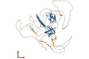 AlphaFold protein structure predicition of Human Recombinant REPS1 Protein, UniprotID Q96D71 (REPS1 Protein (AA 1-796) (His tag))